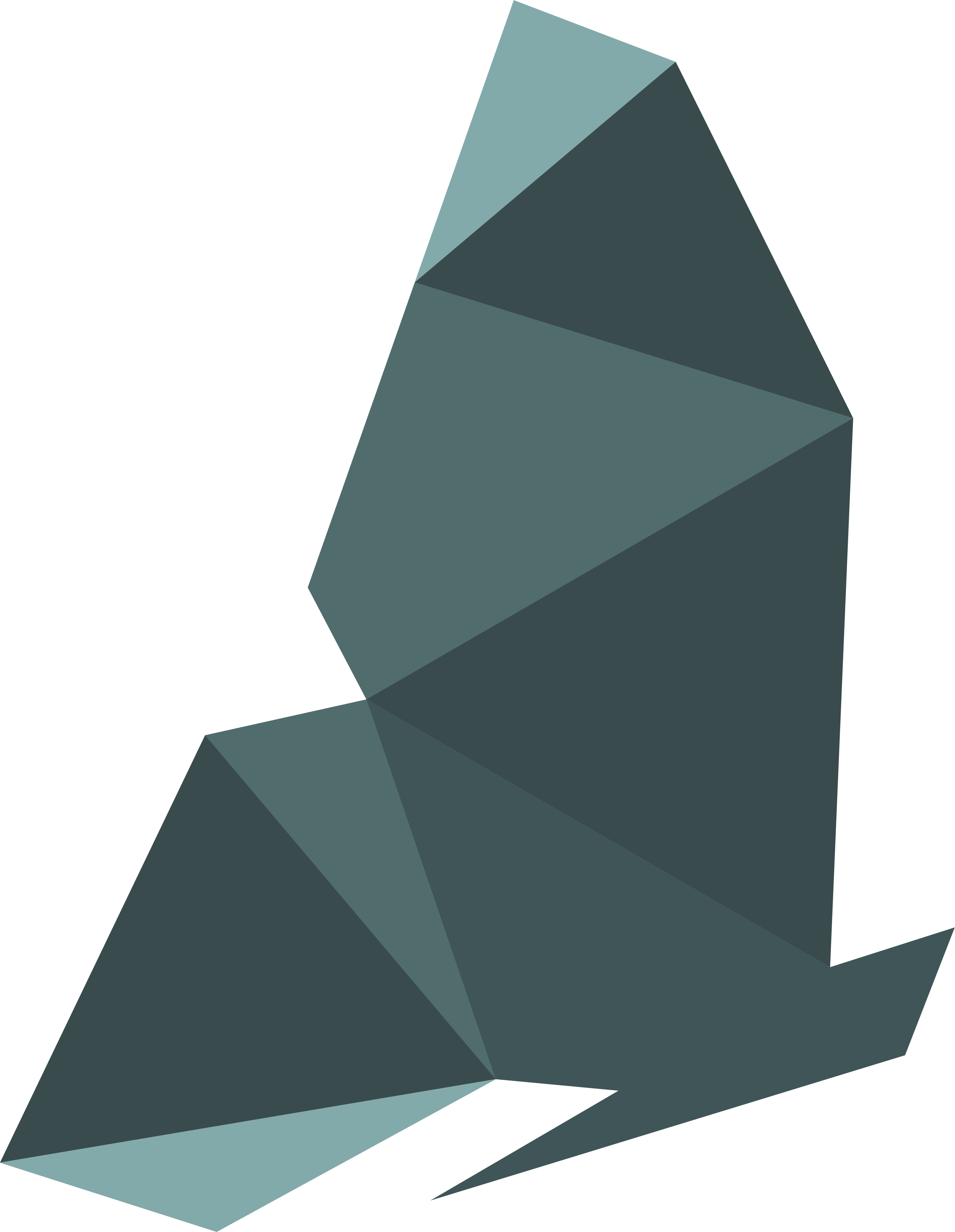 Butterfly project logo mark: origami-style butterfly graphic in a solid green-grey colour.